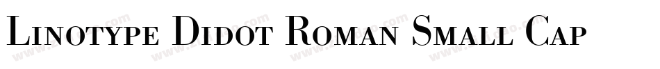 Linotype Didot Roman Small Caps & Oldstyle Figures字体转换